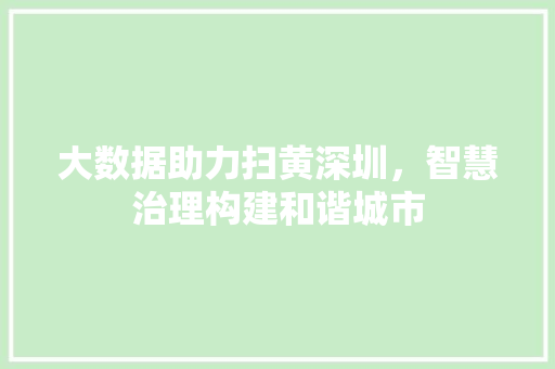 大数据助力扫黄深圳，智慧治理构建和谐城市