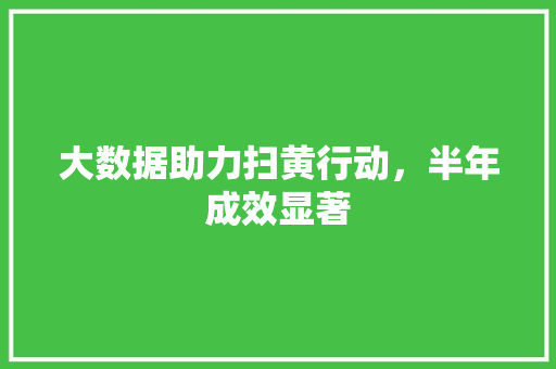 大数据助力扫黄行动，半年成效显著