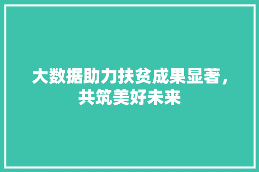 大数据助力扶贫成果显著，共筑美好未来