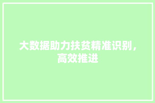 大数据助力扶贫精准识别,高效推进 编程语言 大数据助力扶贫精准识别,高效推进 编程语言