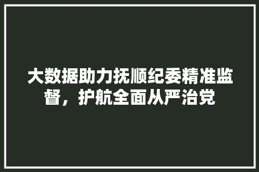 大数据助力抚顺纪委精准监督，护航全面从严治党