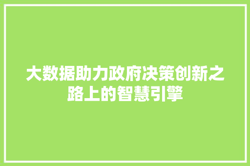 大数据助力政府决策创新之路上的智慧引擎