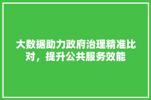 大数据助力政府治理精准比对，提升公共服务效能