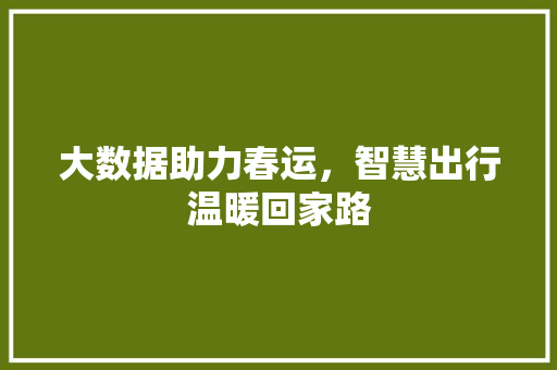 大数据助力春运，智慧出行温暖回家路