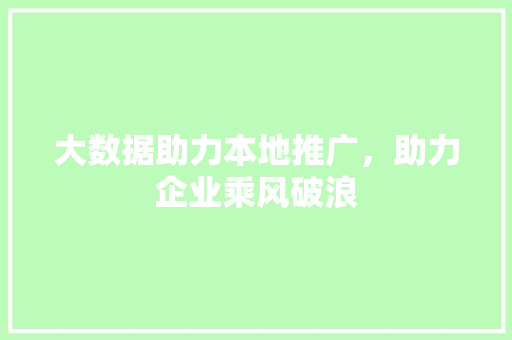 大数据助力本地推广，助力企业乘风破浪