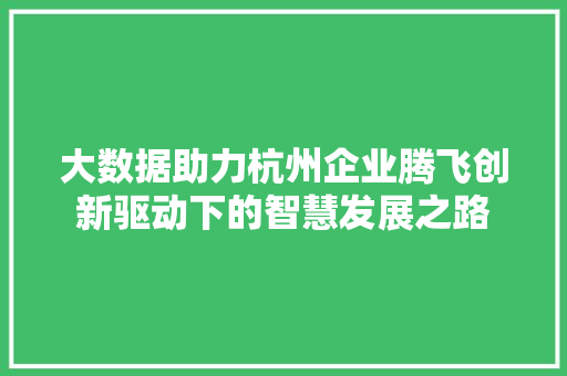 大数据助力杭州企业腾飞创新驱动下的智慧发展之路