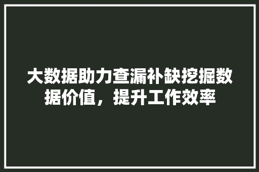 大数据助力查漏补缺挖掘数据价值，提升工作效率 网络技术