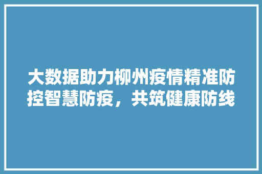 大数据助力柳州疫情精准防控智慧防疫，共筑健康防线
