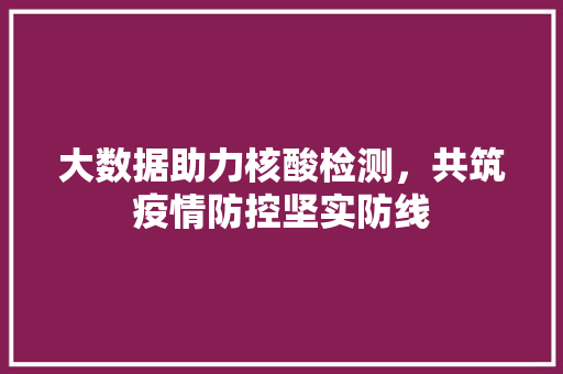 大数据助力核酸检测，共筑疫情防控坚实防线