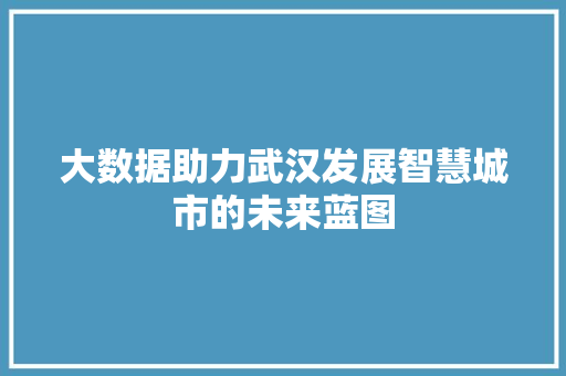 大数据助力武汉发展智慧城市的未来蓝图 操作系统