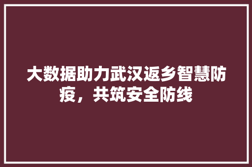 大数据助力武汉返乡智慧防疫,共筑安全防线 电脑配置 大数据助力武汉返乡智慧防疫,共筑安全防线 电脑配置