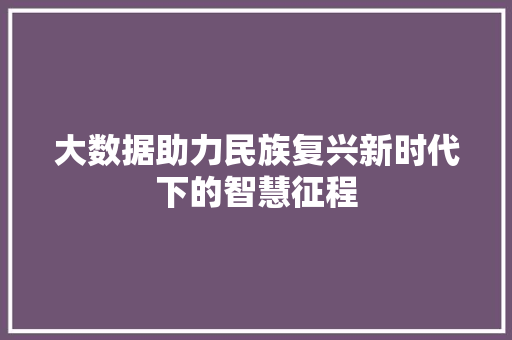 大数据助力民族复兴新时代下的智慧征程