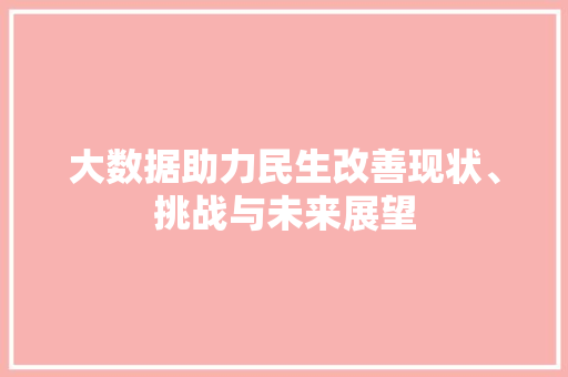 大数据助力民生改善现状、挑战与未来展望