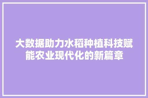 大数据助力水稻种植科技赋能农业现代化的新篇章