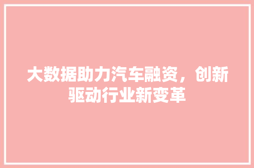 大数据助力汽车融资，创新驱动行业新变革