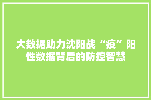 大数据助力沈阳战“疫”阳性数据背后的防控智慧