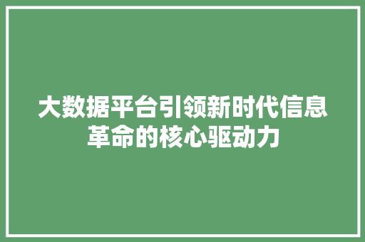大数据平台引领新时代信息革命的核心驱动力