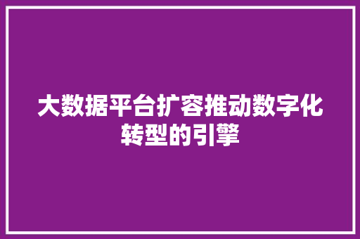 大数据平台扩容推动数字化转型的引擎 大数据平台扩容推动数字化转型的引擎