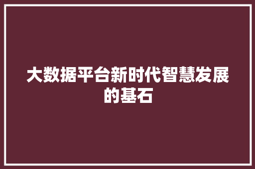 大数据平台新时代智慧发展的基石