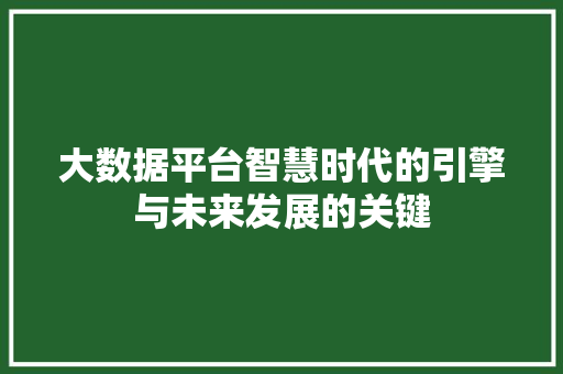 大数据平台智慧时代的引擎与未来发展的关键
