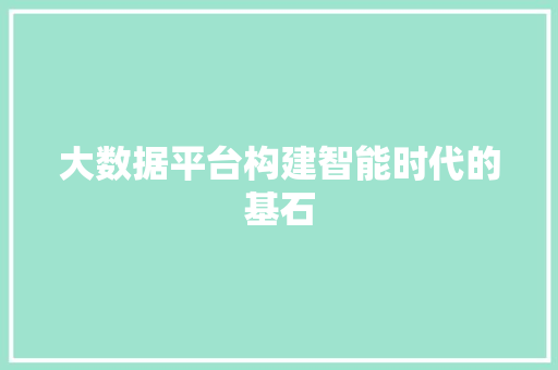 大数据平台构建智能时代的基石 电脑配置