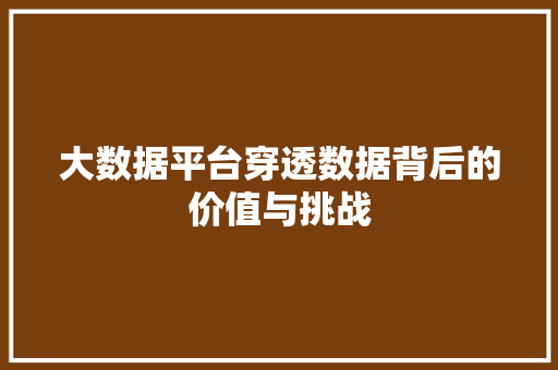 大数据平台穿透数据背后的价值与挑战