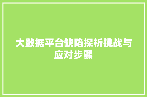大数据平台缺陷探析挑战与应对步骤