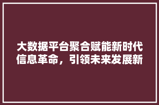 大数据平台聚合赋能新时代信息革命，引领未来发展新格局