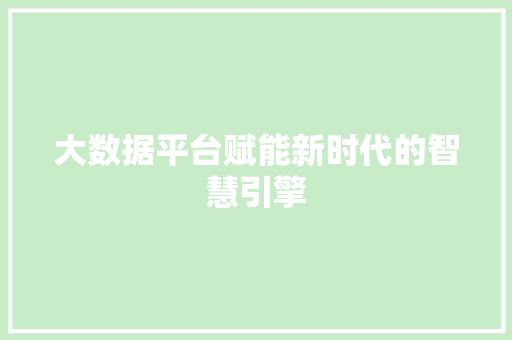 大数据平台赋能新时代的智慧引擎