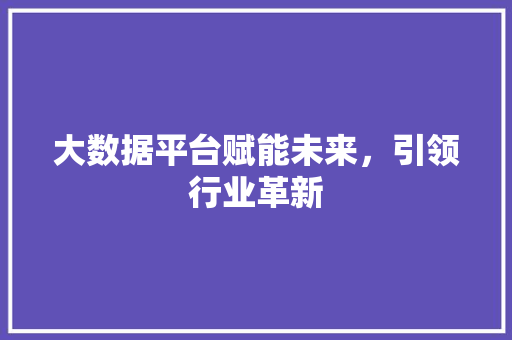 大数据平台赋能未来，引领行业革新