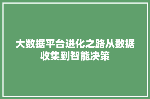 大数据平台进化之路从数据收集到智能决策
