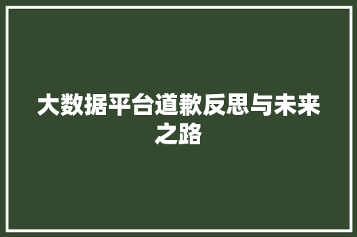 大数据平台道歉反思与未来之路