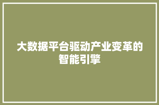 大数据平台驱动产业变革的智能引擎