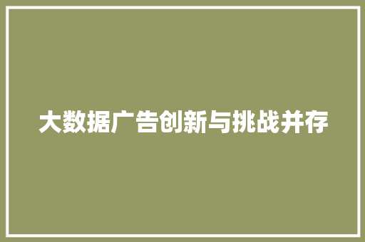 大数据广告创新与挑战并存