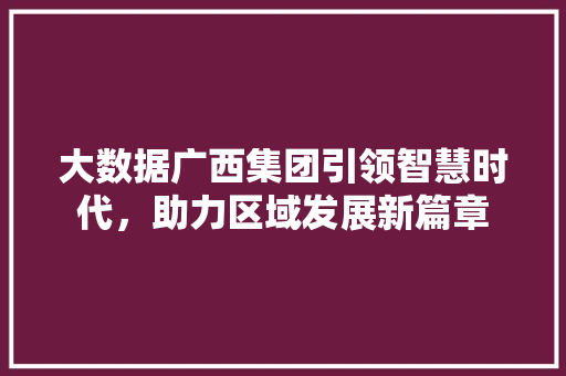 大数据广西集团引领智慧时代，助力区域发展新篇章