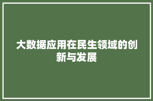 大数据应用在民生领域的创新与发展