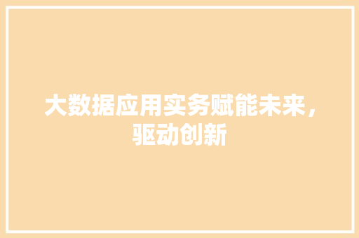 大数据应用实务赋能未来，驱动创新 电脑基础