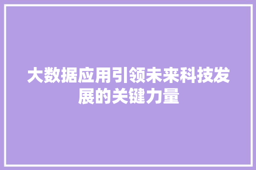 大数据应用引领未来科技发展的关键力量