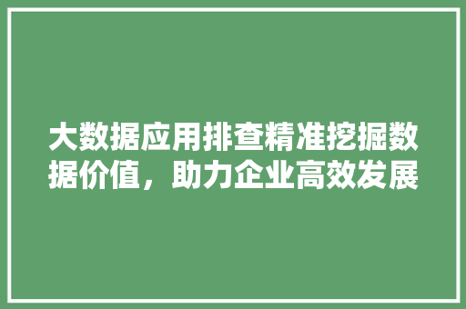大数据应用排查精准挖掘数据价值，助力企业高效发展 网络技术