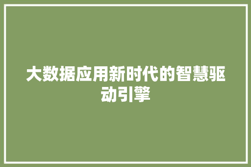 大数据应用新时代的智慧驱动引擎 大数据应用新时代的智慧驱动引擎