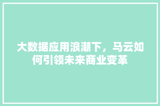 大数据应用浪潮下,马云如何引领未来商业变革 大数据应用浪潮下,马云如何引领未来商业变革