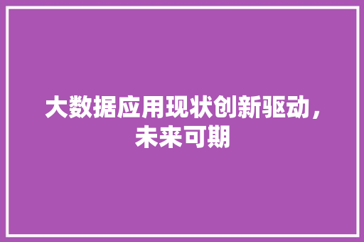 大数据应用现状创新驱动，未来可期