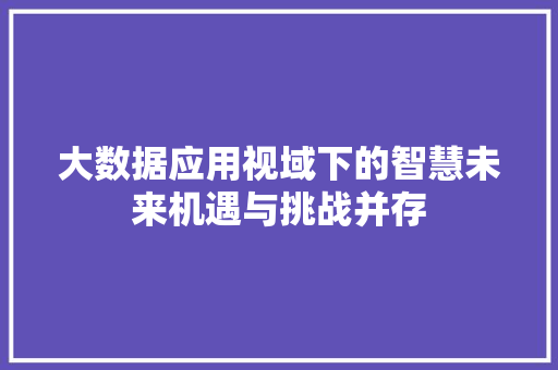 大数据应用视域下的智慧未来机遇与挑战并存