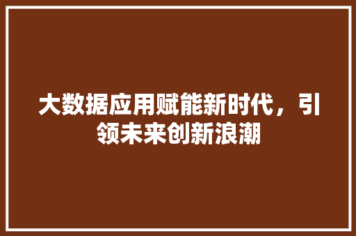 大数据应用赋能新时代，引领未来创新浪潮