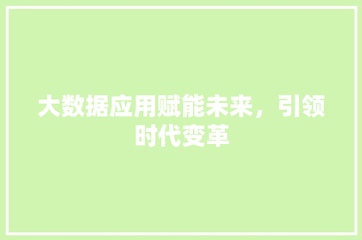 大数据应用赋能未来，引领时代变革