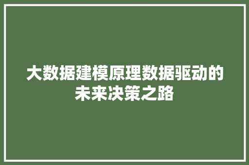 大数据建模原理数据驱动的未来决策之路