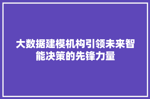 大数据建模机构引领未来智能决策的先锋力量