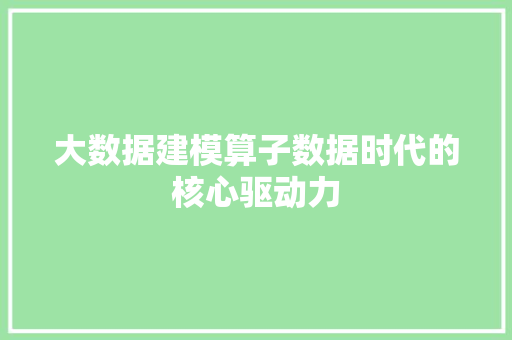 大数据建模算子数据时代的核心驱动力
