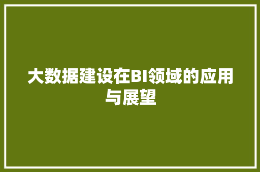 大数据建设在BI领域的应用与展望