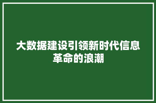 大数据建设引领新时代信息革命的浪潮 电脑基础